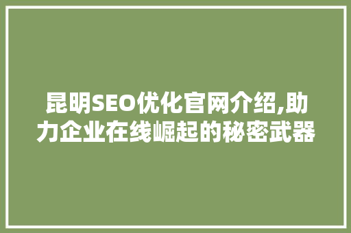 昆明SEO优化官网介绍,助力企业在线崛起的秘密武器