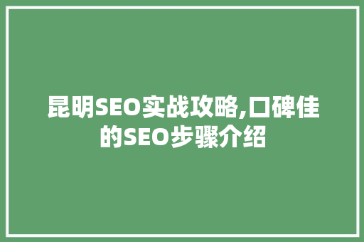昆明SEO实战攻略,口碑佳的SEO步骤介绍