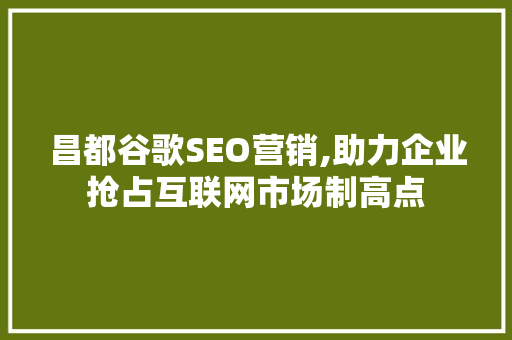 昌都谷歌SEO营销,助力企业抢占互联网市场制高点