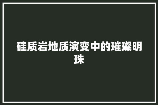 硅质岩地质演变中的璀璨明珠
