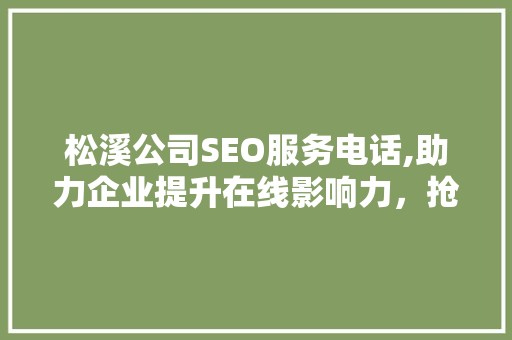 松溪公司SEO服务电话,助力企业提升在线影响力，抢占市场先机