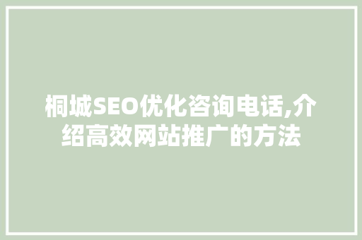 桐城SEO优化咨询电话,介绍高效网站推广的方法