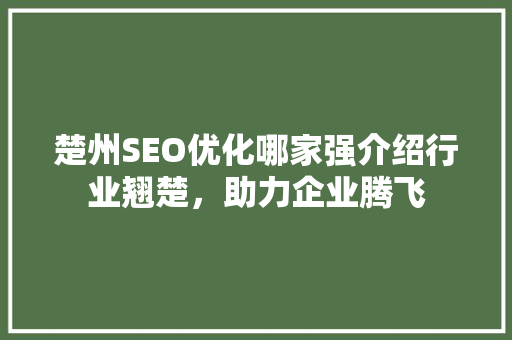 楚州SEO优化哪家强介绍行业翘楚，助力企业腾飞