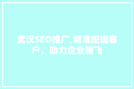 武汉SEO推广,精准挖掘客户，助力企业腾飞