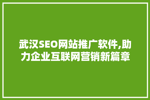 武汉SEO网站推广软件,助力企业互联网营销新篇章