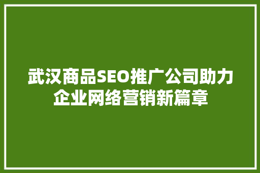 武汉商品SEO推广公司助力企业网络营销新篇章