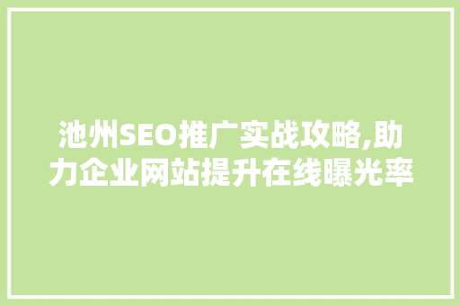 池州SEO推广实战攻略,助力企业网站提升在线曝光率
