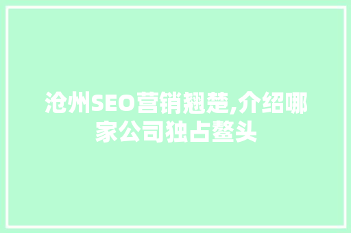 沧州SEO营销翘楚,介绍哪家公司独占鳌头