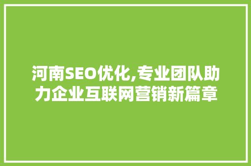 河南SEO优化,专业团队助力企业互联网营销新篇章
