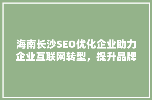 海南长沙SEO优化企业助力企业互联网转型，提升品牌竞争力