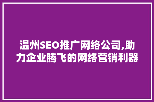 温州SEO推广网络公司,助力企业腾飞的网络营销利器