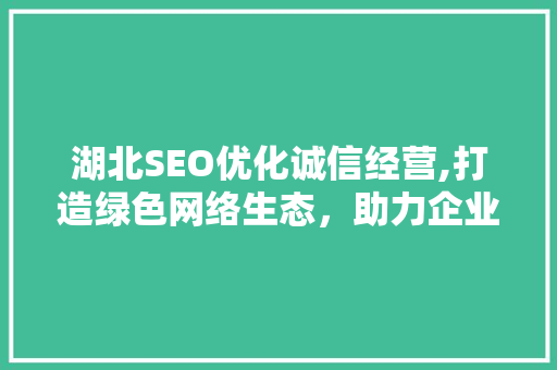 湖北SEO优化诚信经营,打造绿色网络生态，助力企业长远发展