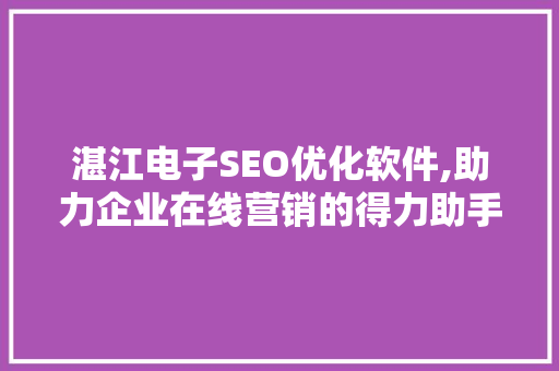 湛江电子SEO优化软件,助力企业在线营销的得力助手