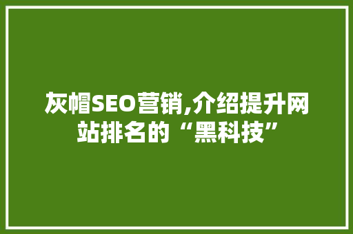 灰帽SEO营销,介绍提升网站排名的“黑科技”