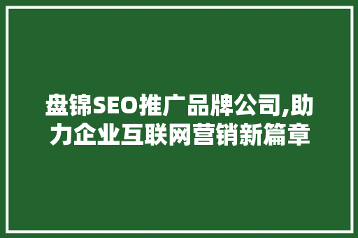 盘锦SEO推广品牌公司,助力企业互联网营销新篇章