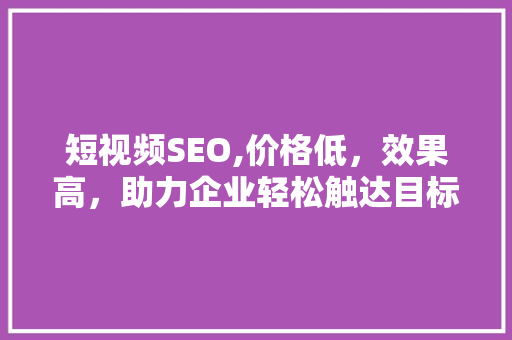 短视频SEO,价格低，效果高，助力企业轻松触达目标用户