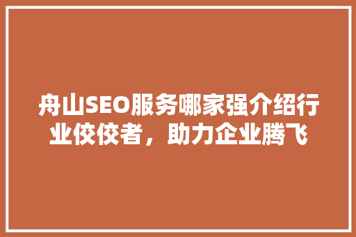 舟山SEO服务哪家强介绍行业佼佼者，助力企业腾飞