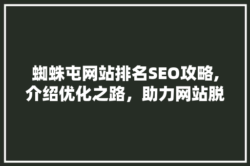 蜘蛛屯网站排名SEO攻略,介绍优化之路，助力网站脱颖而出