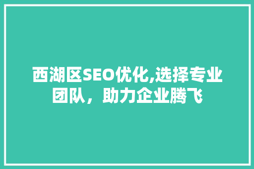 西湖区SEO优化,选择专业团队，助力企业腾飞