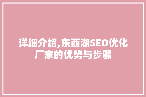 详细介绍,东西湖SEO优化厂家的优势与步骤