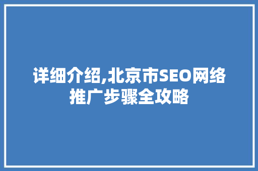 详细介绍,北京市SEO网络推广步骤全攻略