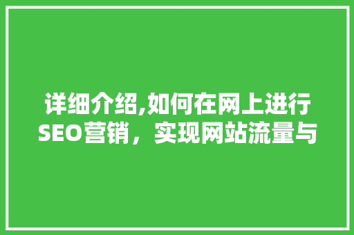 详细介绍,如何在网上进行SEO营销，实现网站流量与品牌价值的双重提升
