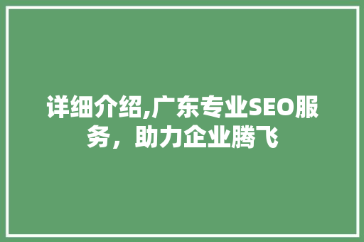 详细介绍,广东专业SEO服务，助力企业腾飞