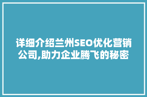 详细介绍兰州SEO优化营销公司,助力企业腾飞的秘密武器