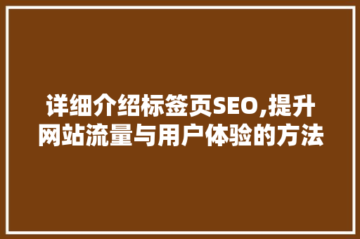 详细介绍标签页SEO,提升网站流量与用户体验的方法