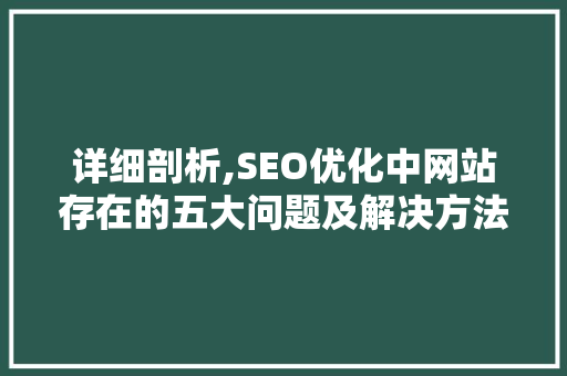 详细剖析,SEO优化中网站存在的五大问题及解决方法