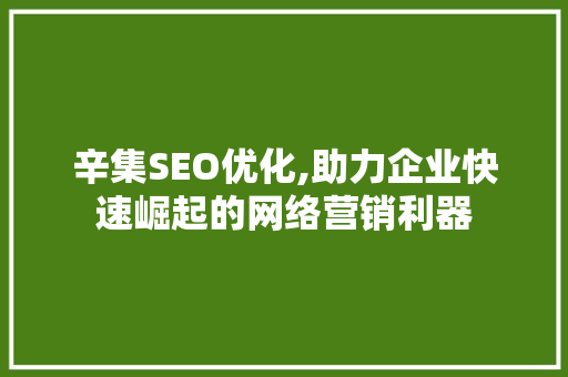 辛集SEO优化,助力企业快速崛起的网络营销利器