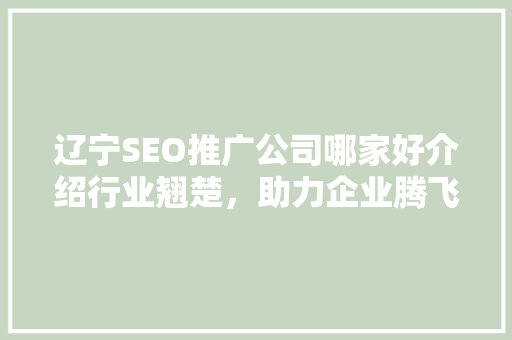 辽宁SEO推广公司哪家好介绍行业翘楚，助力企业腾飞