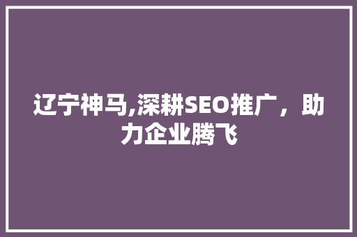 辽宁神马,深耕SEO推广，助力企业腾飞  第1张