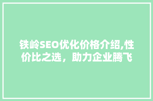 铁岭SEO优化价格介绍,性价比之选，助力企业腾飞