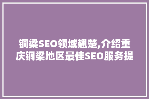 铜梁SEO领域翘楚,介绍重庆铜梁地区最佳SEO服务提供商
