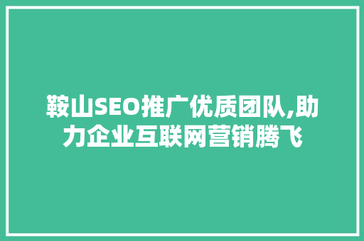 鞍山SEO推广优质团队,助力企业互联网营销腾飞