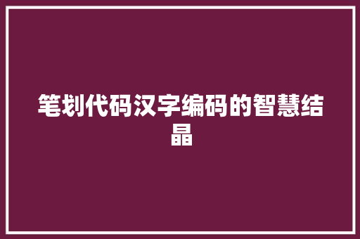 笔划代码汉字编码的智慧结晶