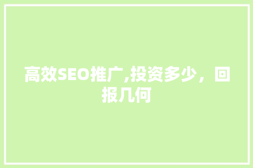 高效SEO推广,投资多少，回报几何
