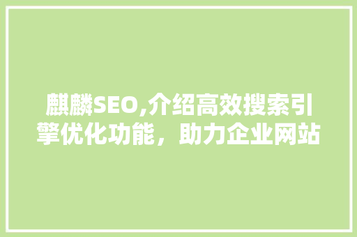 麒麟SEO,介绍高效搜索引擎优化功能，助力企业网站腾飞