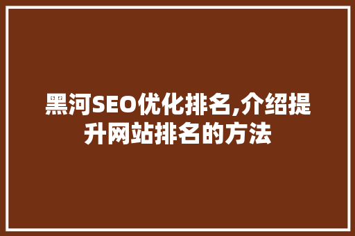 黑河SEO优化排名,介绍提升网站排名的方法