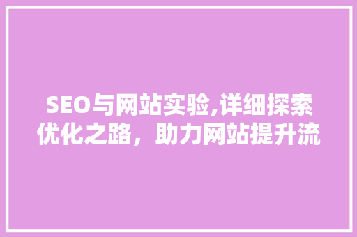 SEO与网站实验,详细探索优化之路，助力网站提升流量与排名