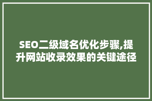 SEO二级域名优化步骤,提升网站收录效果的关键途径