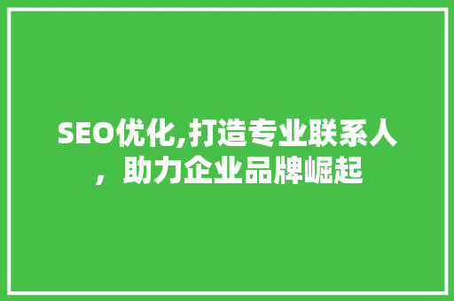 SEO优化,打造专业联系人，助力企业品牌崛起