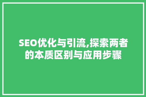SEO优化与引流,探索两者的本质区别与应用步骤