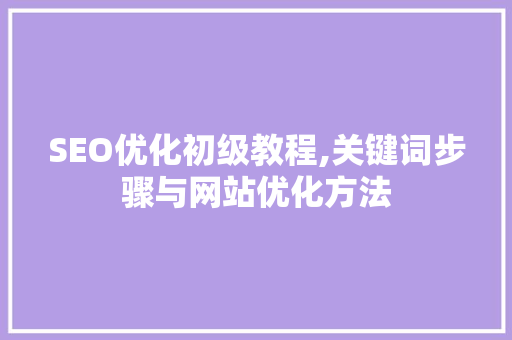 SEO优化初级教程,关键词步骤与网站优化方法