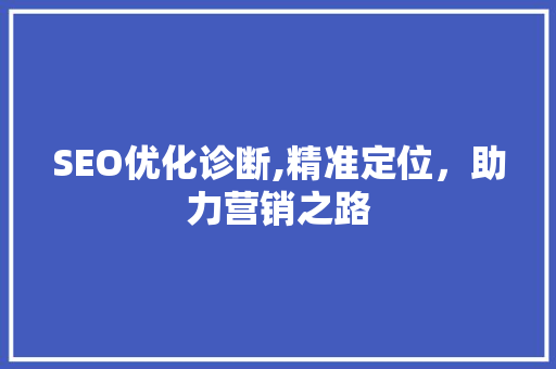 SEO优化诊断,精准定位，助力营销之路