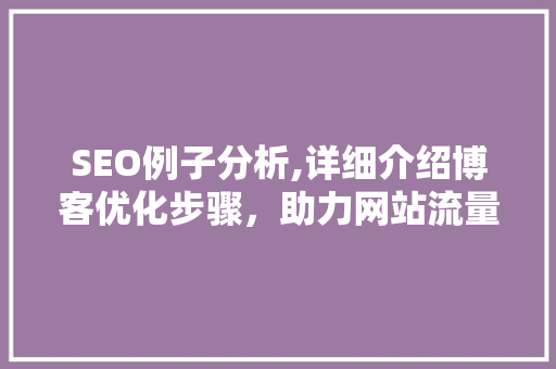 SEO例子分析,详细介绍博客优化步骤，助力网站流量提升