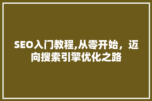 SEO入门教程,从零开始，迈向搜索引擎优化之路