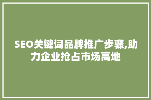 SEO关键词品牌推广步骤,助力企业抢占市场高地