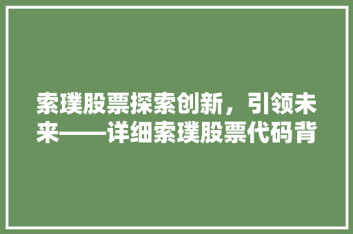 索璞股票探索创新，引领未来——详细索璞股票代码背后的故事